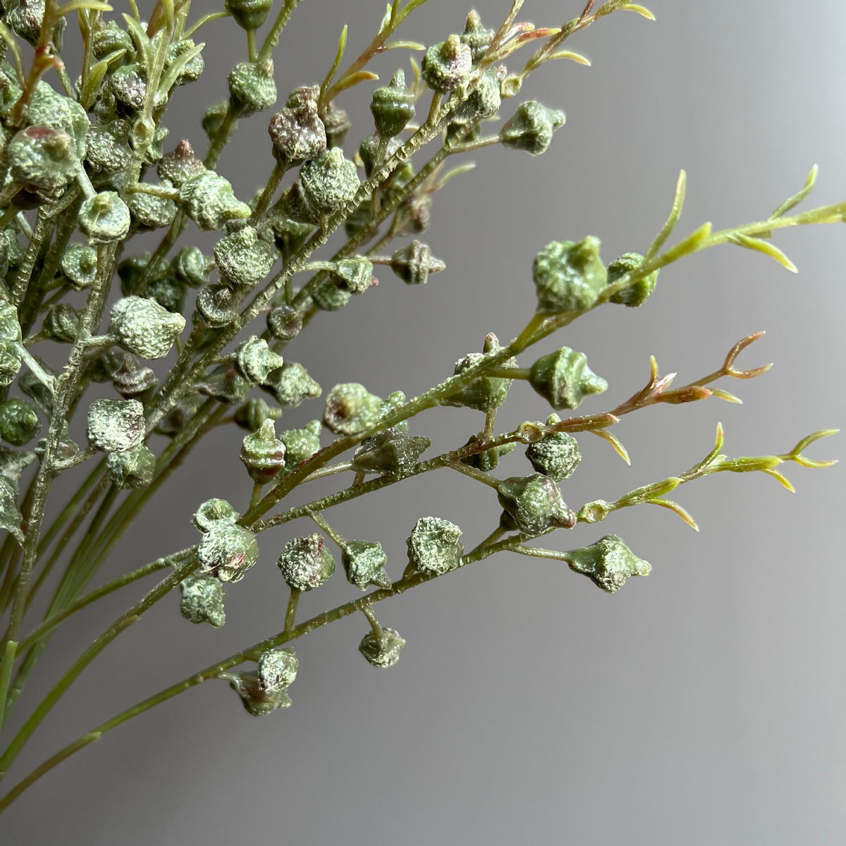 Kunstpflanze Eukalyptus mit Früchten, Bund mit 3 Zweigen, 5er-Pack, Kunststoffzweige, Hochzeit, Schaufenster, Hotel