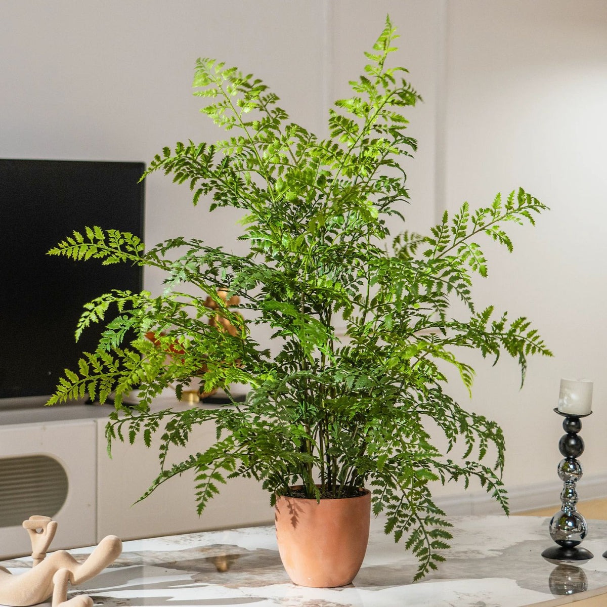 Künstlicher Farn im Topf, 80 cm hoch, mit Keramiktopf, für Zuhause, Büro und Gewerbe