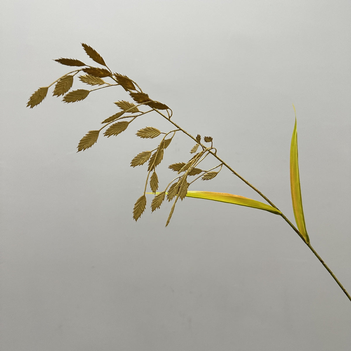 Künstliches Pampasgras, Bund mit mehreren Zweigen, Kunststoff (PE/PVC), 72 cm, für Hochzeit, Hotel und Schaufenster
