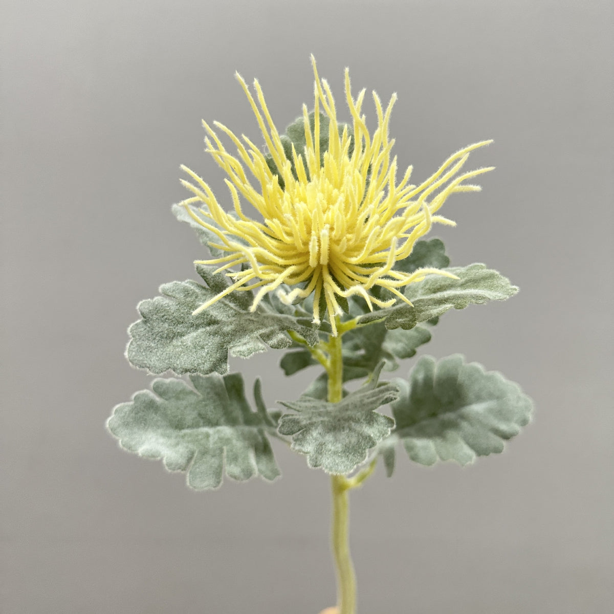 Künstliche Eryngium-Blume, 38 cm hohe Einzelstängel-Deko, Seidenstoff-Blüte für Hochzeiten, Büro und Zuhause