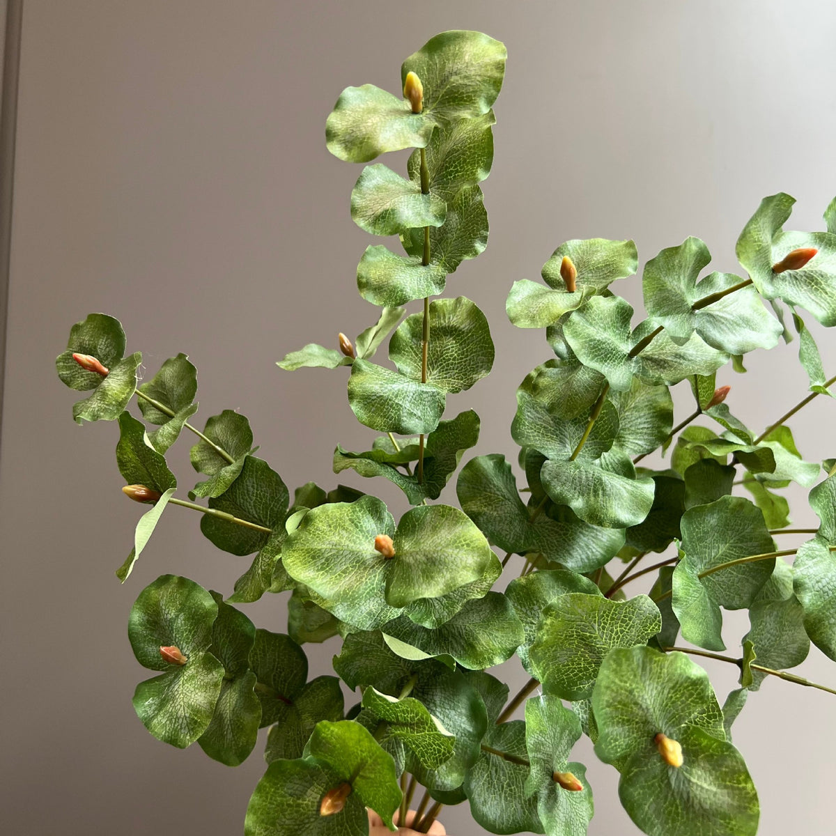 Eukalyptus Kunstpflanze, Zweig mit 3 Verzweigungen, Doppelblatt, Kunstseide, 66 cm, für Hochzeit, Floristik und Deko