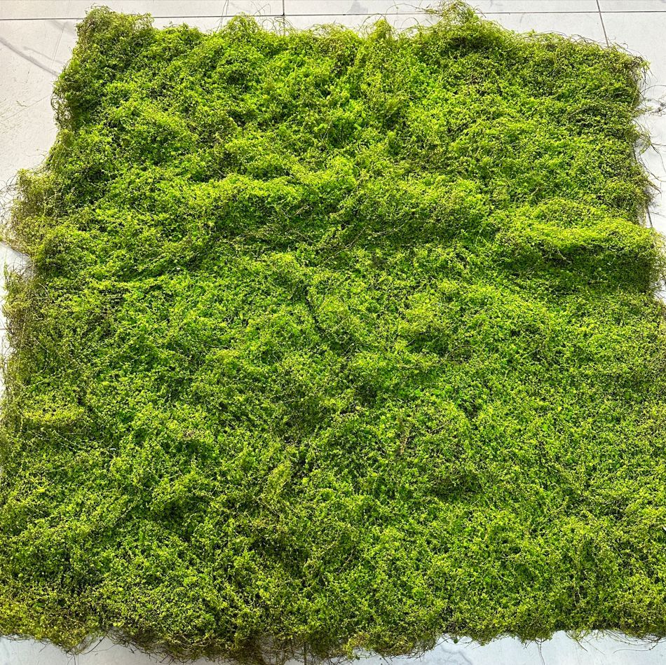 Künstlicher Moosteppich, 100 x 100 cm, PE/PVC, für Innendekoration, Büros, Geschäfte und Veranstaltungen