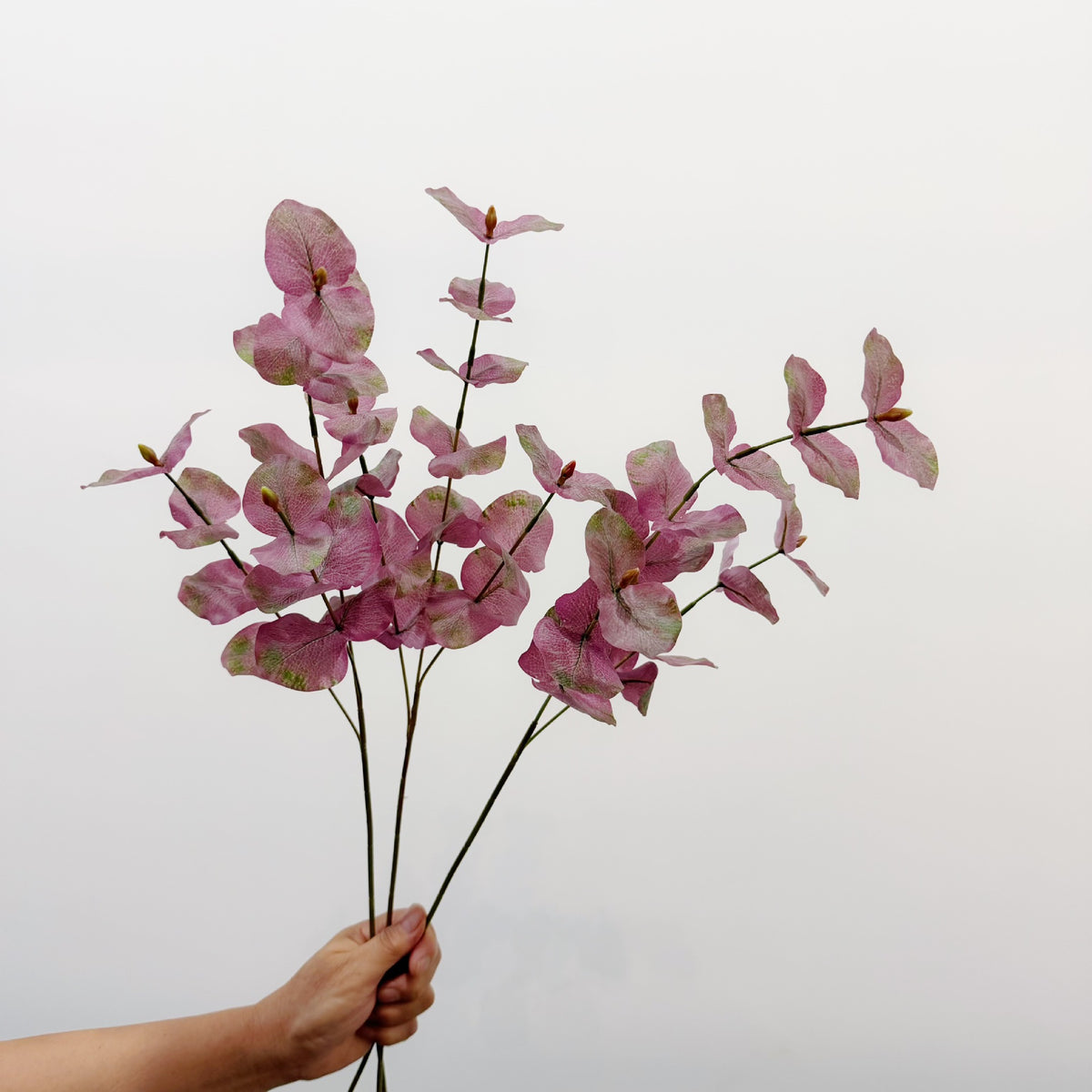 65 cm künstlicher Eukalyptus, 3-teilige Verzweigung, runde Blätter, Deko für Floristik, Hotel- und Gewerberäume
