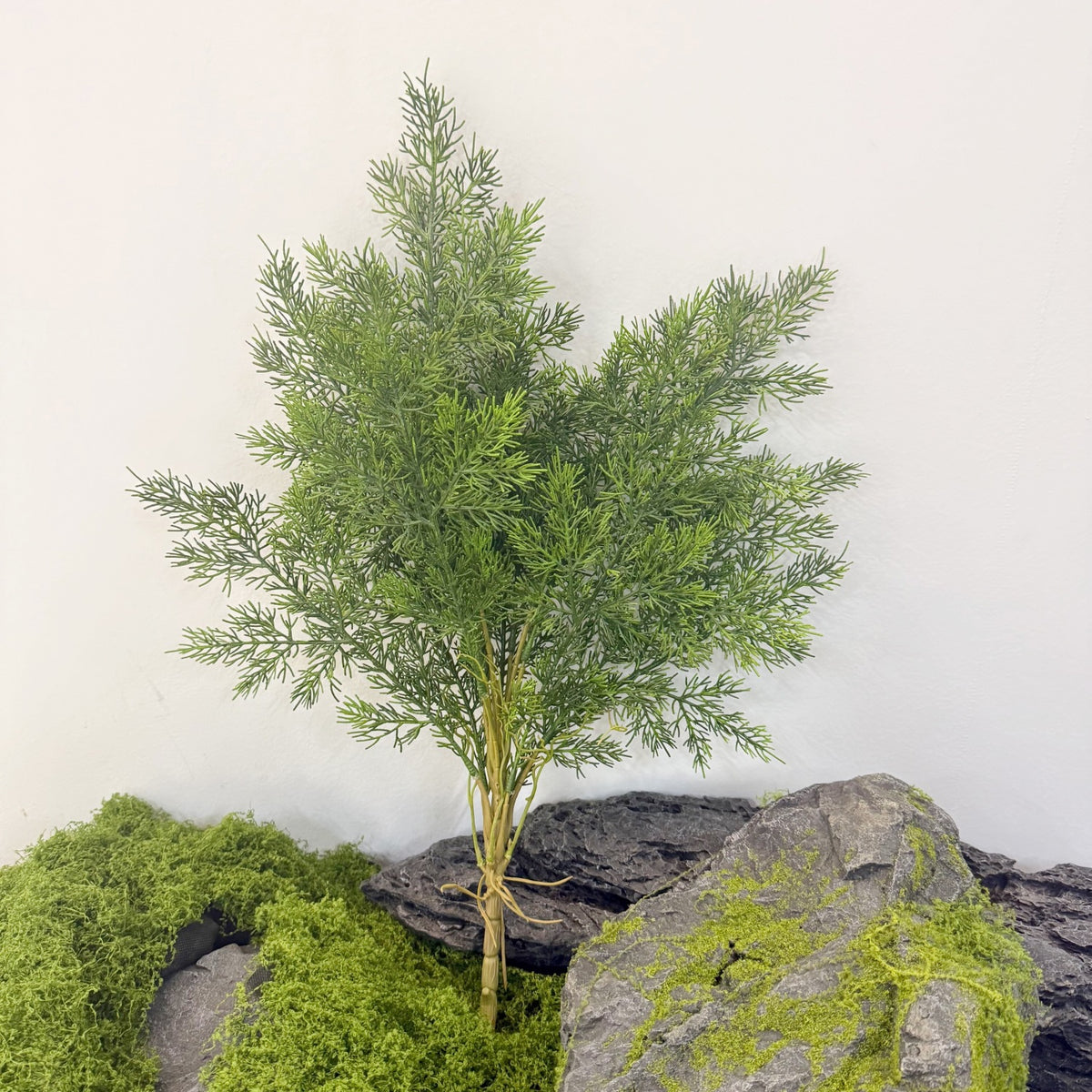 Kunstpflanze Asparagus Plumosus (Zierspargel), Busch mit 60 cm Höhe, Kunststoff PE/PVC, für Dekoration und Schaufenster