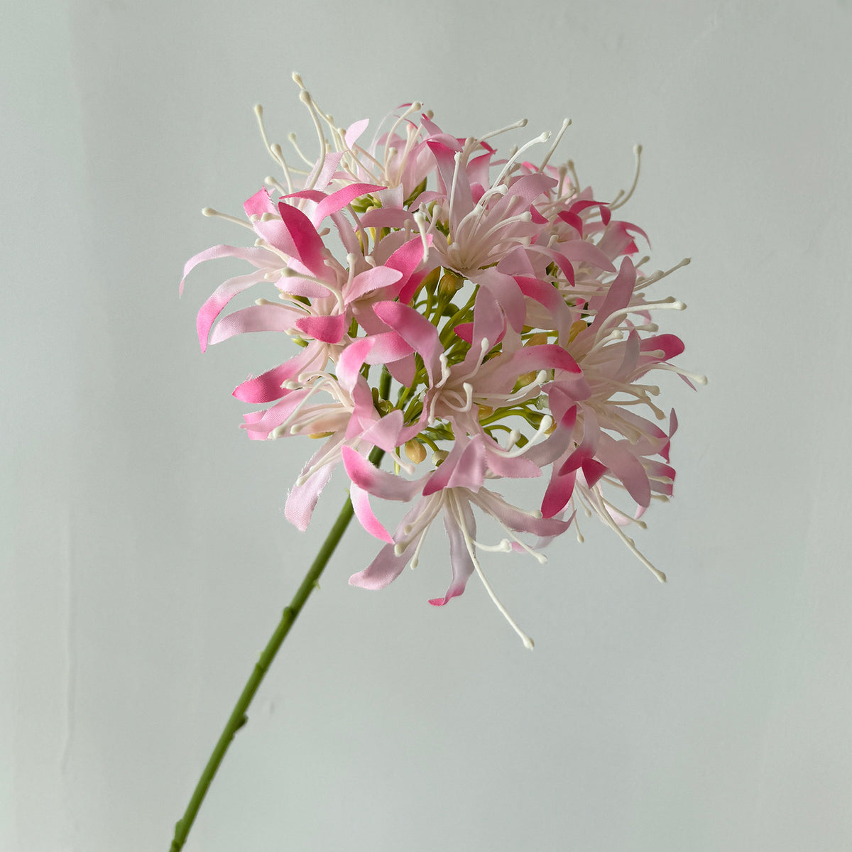 66 cm künstliche Lycoris-Blüten, Busch, Polyester-Seide, für Hoteldekoration, Hochzeiten, Innenräume