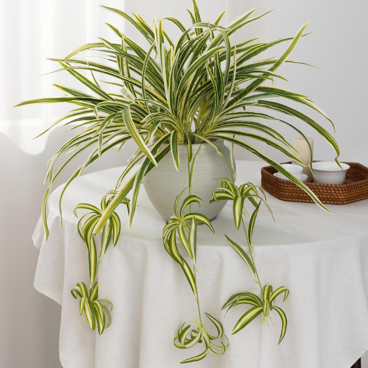 Künstliche Hängepflanze, Grünlilie, 65 cm Höhe, 40 flexible Stiele, für Wohnung, Büro und Events