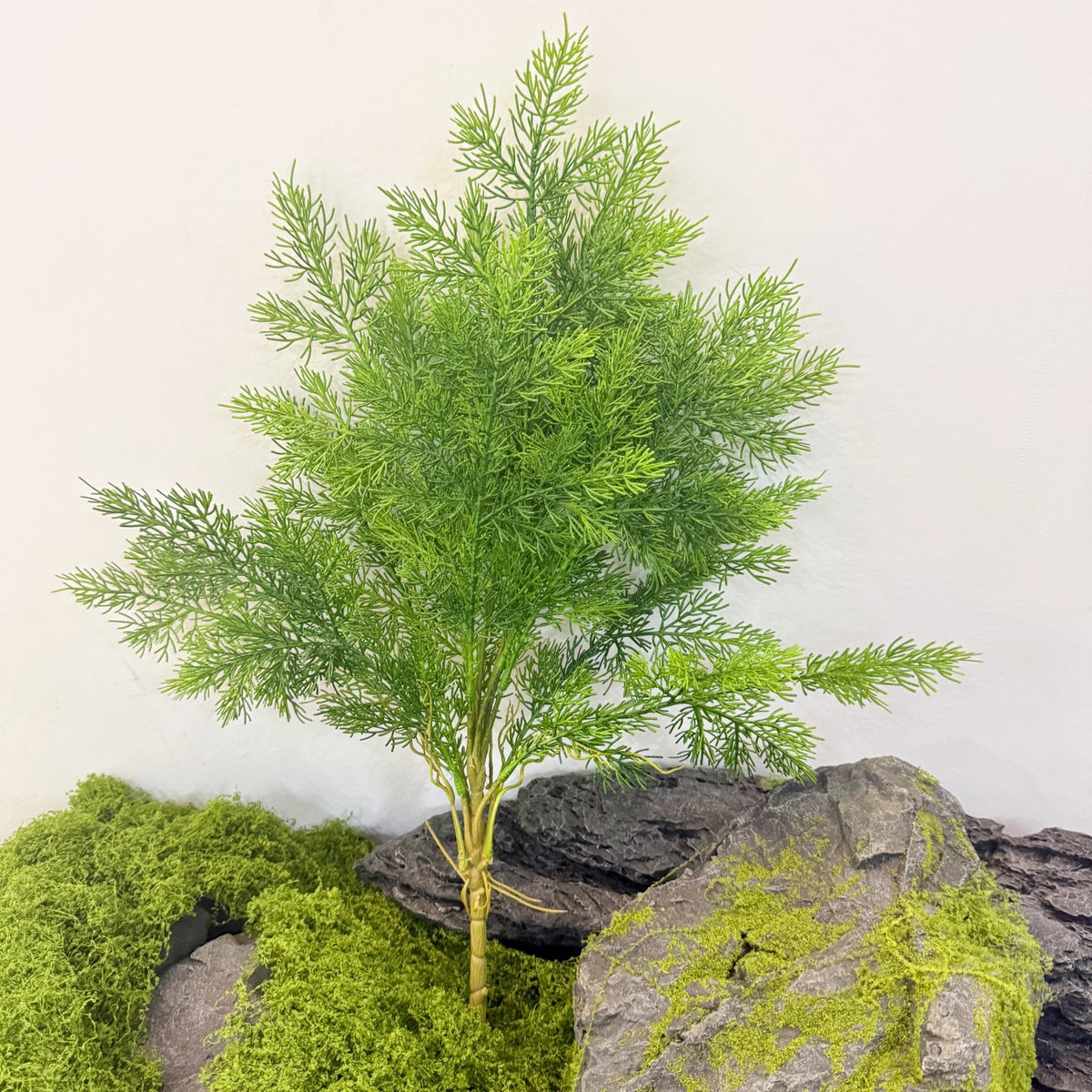 Kunstpflanze Asparagus Plumosus (Zierspargel), Busch mit 60 cm Höhe, Kunststoff PE/PVC, für Dekoration und Schaufenster