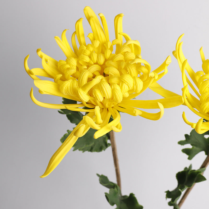 Künstliche Chrysantheme, einzelner Stiel mit 1 Blüte (20 cm Durchmesser), 72 cm hoch, PU-Material, für Hochzeitsdekoration und Innenraum