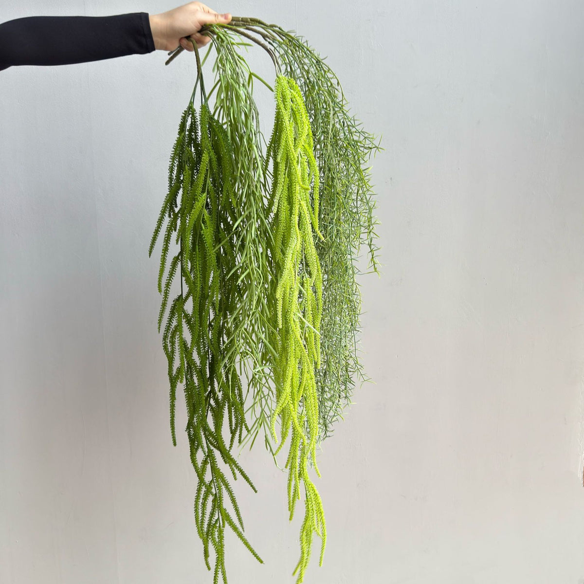 Künstliche Hängepflanze, Asparagus Farn, 90 cm Länge, für Wohnraum und Büro