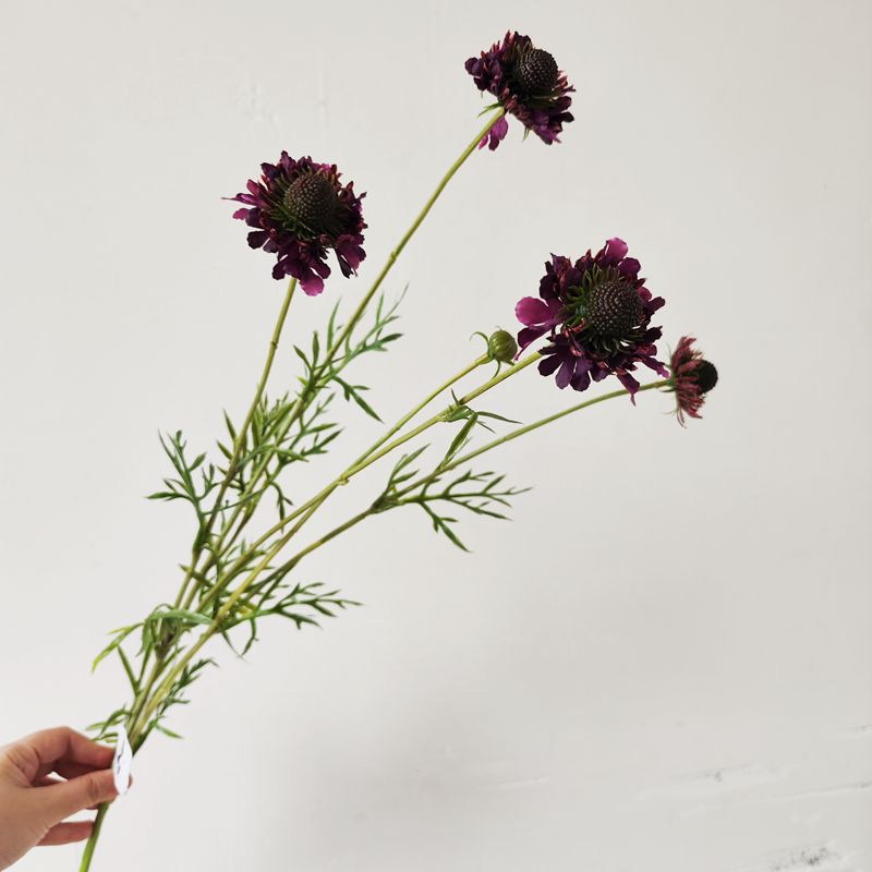 Künstliche Gänseblümchen & Orchideen Busch, 74 cm Höhe, Seidenstoff-Blumen für Zuhause