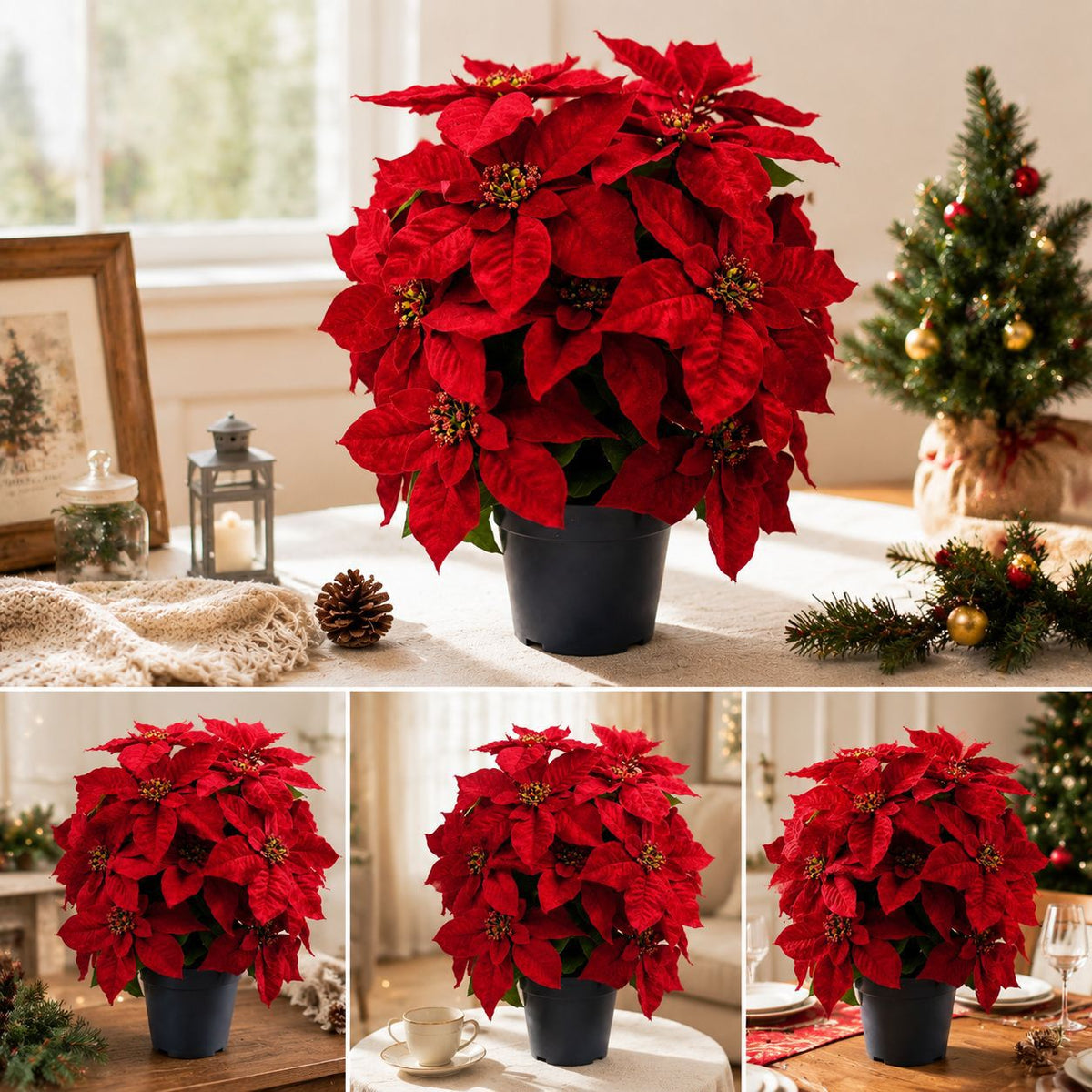 Künstliche Weihnachtssterne, 20 Blüten, 48 cm hoch inkl. Topf, für Innen- und Außenbereich, Weihnachtsdekoration, Hotel, Event, Einzelhandel
