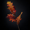 Künstlicher Gummibaum-Zweig, Eichenlaub-Optik, Herbstfarben, 50 cm, Seidenblumen-Stoff, für Hochzeit, Deko und Schaufenster