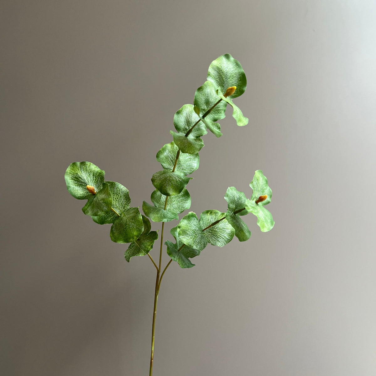Eukalyptus Kunstpflanze, Zweig mit 3 Verzweigungen, Doppelblatt, Kunstseide, 66 cm, für Hochzeit, Floristik und Deko