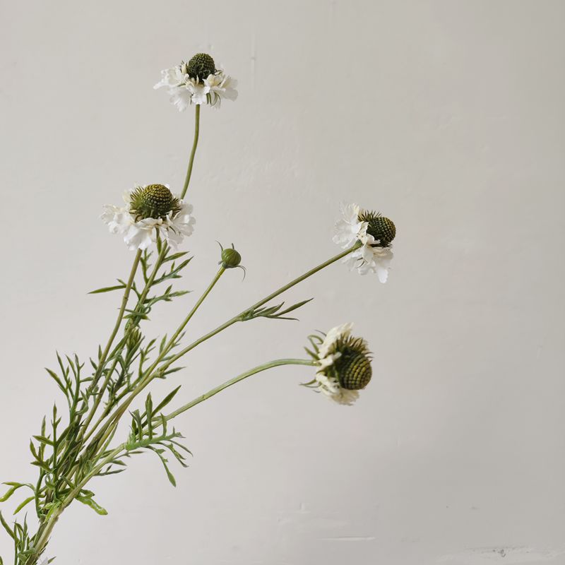 Künstliche Gänseblümchen & Orchideen Busch, 74 cm Höhe, Seidenstoff-Blumen für Zuhause