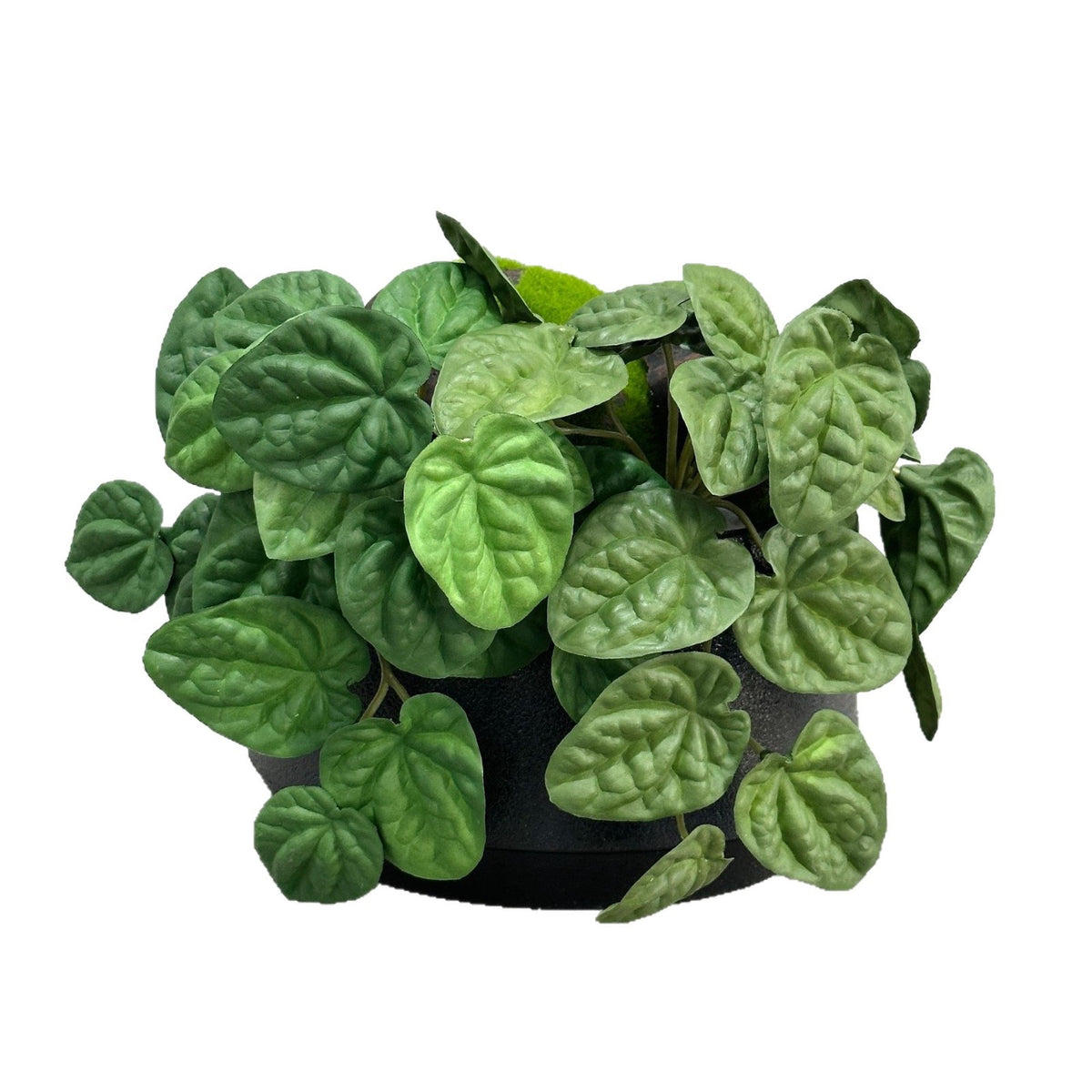 Künstliche Pfefferminzblatt-Pflanze Peperomia, 1 Büschel mit biegsamen Stielen, Kunststoff PE/PVC, für Wohnraum, Hotel und Hochzeit