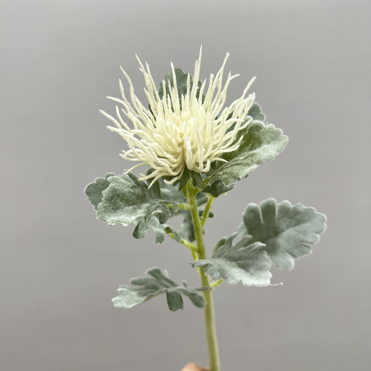 Künstliche Eryngium-Blume, 38 cm hohe Einzelstängel-Deko, Seidenstoff-Blüte für Hochzeiten, Büro und Zuhause