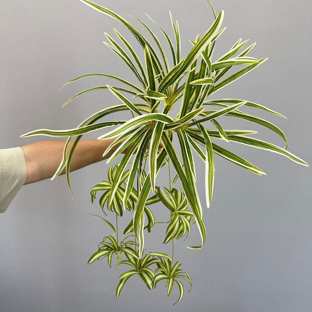 Künstliche Hängepflanze, Grünlilie, 65 cm Höhe, 40 flexible Stiele, für Wohnung, Büro und Events