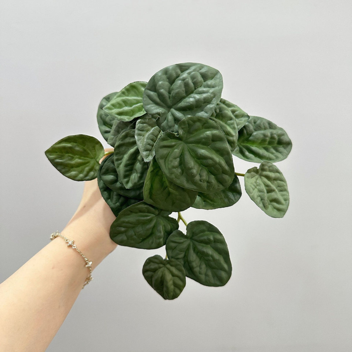 Künstliche Pfefferminzblatt-Pflanze Peperomia, 1 Büschel mit biegsamen Stielen, Kunststoff PE/PVC, für Wohnraum, Hotel und Hochzeit