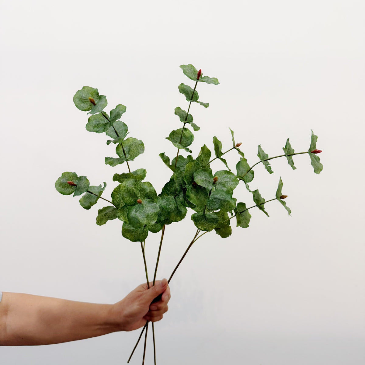 65 cm künstlicher Eukalyptus, 3-teilige Verzweigung, runde Blätter, Deko für Floristik, Hotel- und Gewerberäume