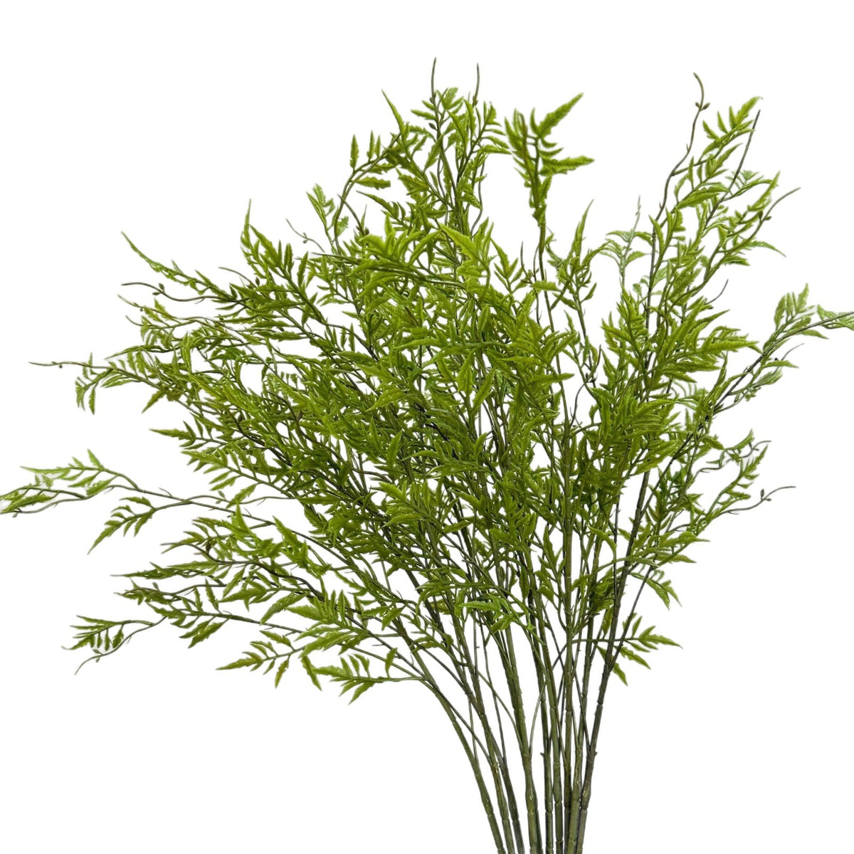 Kunstpflanze Farn, Persischer Farn Büschel aus Weichgummi, 80 cm, für Hochzeit, Schaufenster und Gewerbe