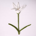 Künstliche Lilie aus Samtstoff, einzelner Stiel mit 1 Blüte, 50 cm Höhe, für Hochzeiten, Innenraumdekor und Büro