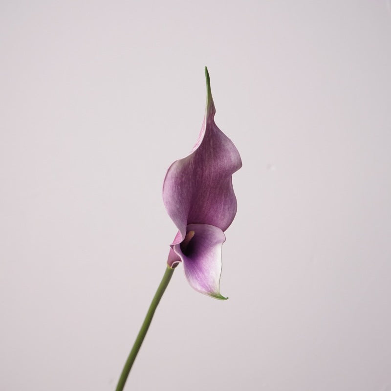 Premium Calla-Lilie Kunstblume, 58cm Stiel mit Doppelblüte, Real Touch Qualität für elegante Vasendeko, Hochzeit & Gestecke