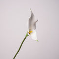Premium Calla-Lilie Kunstblume, 58cm Stiel mit Doppelblüte, Real Touch Qualität für elegante Vasendeko, Hochzeit & Gestecke