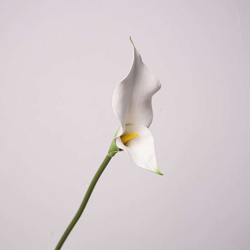 Premium Calla-Lilie Kunstblume, 58cm Stiel mit Doppelblüte, Real Touch Qualität für elegante Vasendeko, Hochzeit & Gestecke
