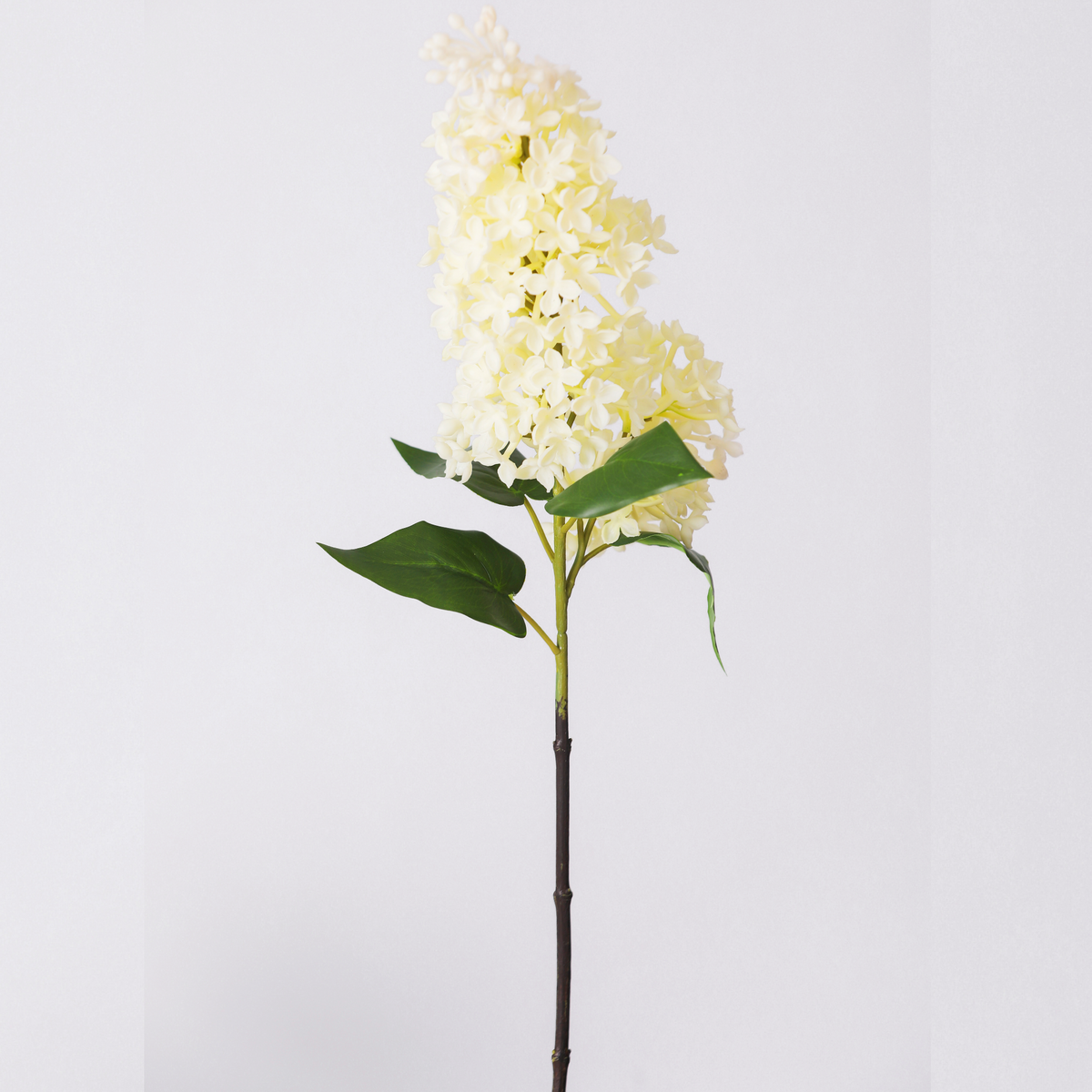 Künstlicher Flieder-Stiel 71 cm mit Real-Touch – üppige Blütenrispen für Vase, Gestecke & Frühlingsdekoration
