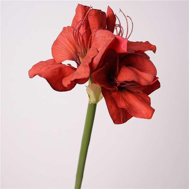 74cm Real Touch Amaryllis - Künstliche Christblume für Hochzeit & Weihnachtsdeko