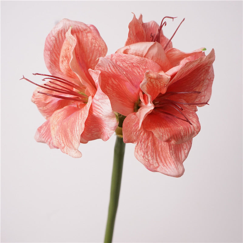 74cm Real Touch Amaryllis - Künstliche Christblume für Hochzeit & Weihnachtsdeko
