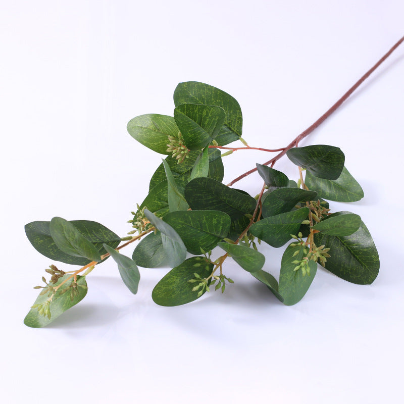 60 cm lange Pappel-Eukalyptus-Zweige – Für Blumenarrangements