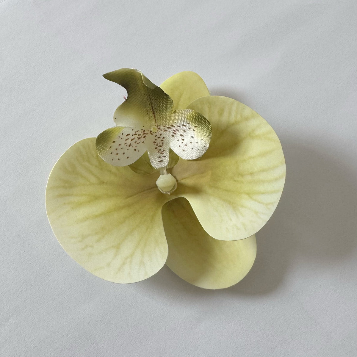 24 Stücke Orchideen-Dekorationen | Real Touch PU Künstliche Blumen | Orchideenköpfe & Künstliche Phalaenopsis-Blumenköpfe für DIY-Kunsthandwerk, Heim- und Hochzeitsdekoration