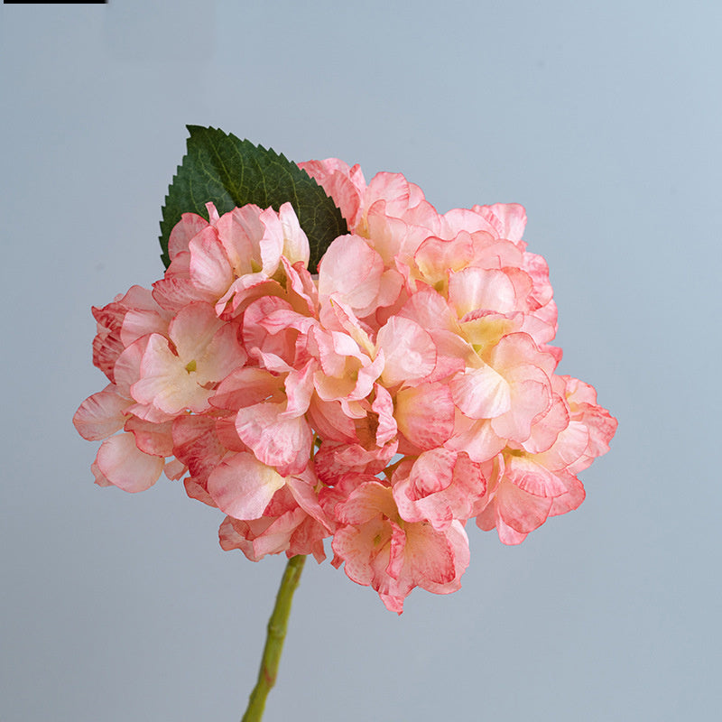 Kunstblumen Hortensien Vintage | 35 cm | Geflammter Rand | Realistisch | Herbst & Winter Deko für Vase & Hochzeit