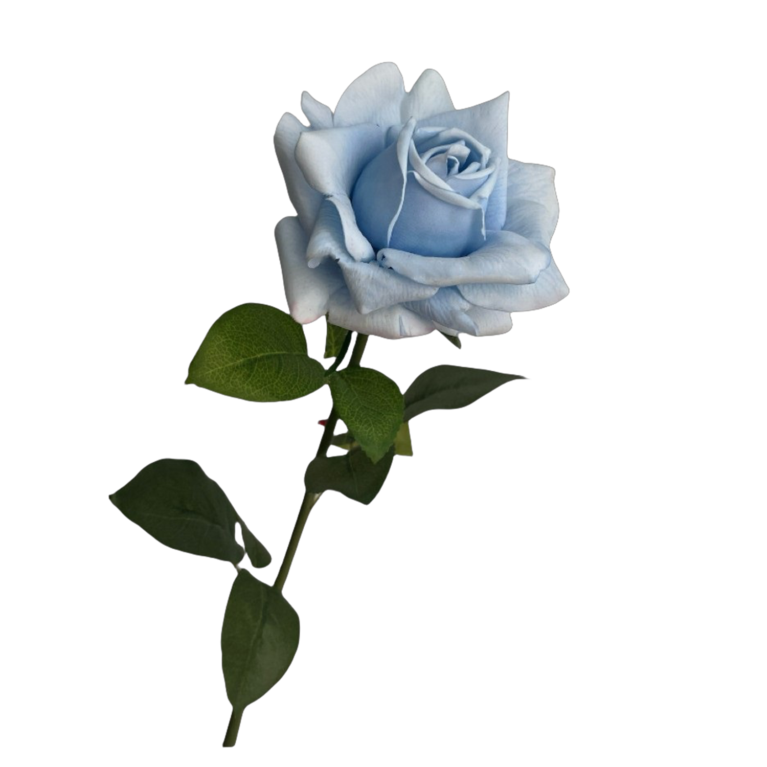 Real Touch Rose 73 cm – Gerüschte Kunstrose | Seidenstiel für Vase, Hochzeit & Floristik