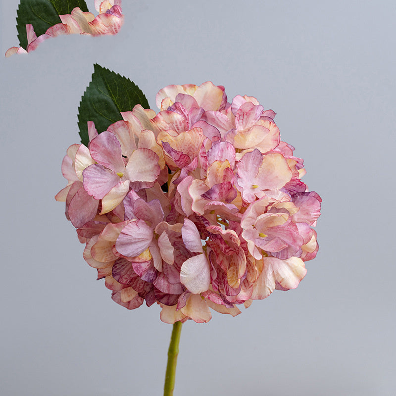 Kunstblumen Hortensien Vintage | 35 cm | Geflammter Rand | Realistisch | Herbst & Winter Deko für Vase & Hochzeit