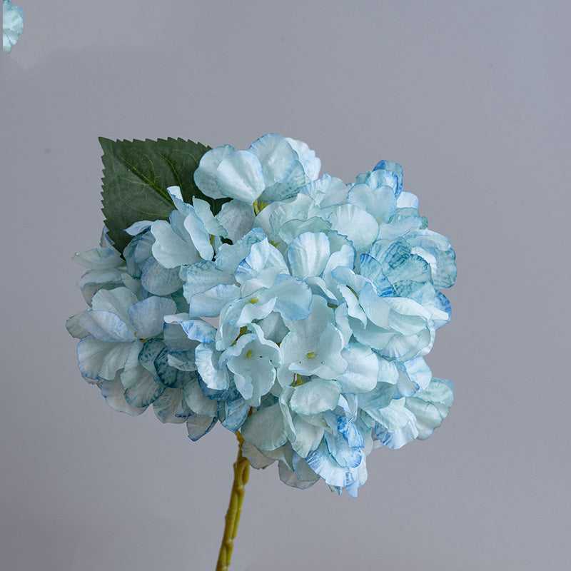 Kunstblumen Hortensien Vintage | 35 cm | Geflammter Rand | Realistisch | Herbst & Winter Deko für Vase & Hochzeit