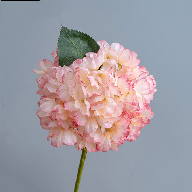 Kunstblumen Hortensien Vintage | 35 cm | Geflammter Rand | Realistisch | Herbst & Winter Deko für Vase & Hochzeit