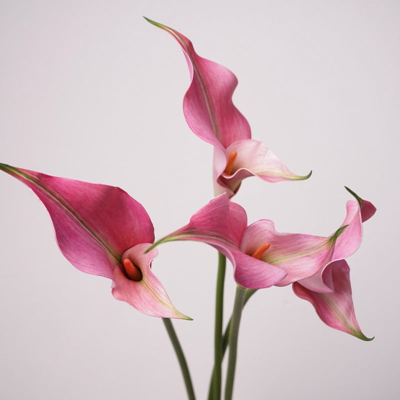 Premium Calla-Lilie Kunstblume, 58cm Stiel mit Doppelblüte, Real Touch Qualität für elegante Vasendeko, Hochzeit & Gestecke