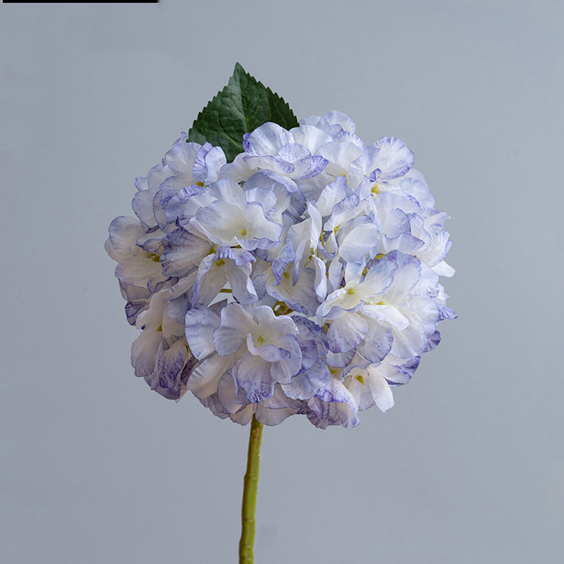 Kunstblumen Hortensien Vintage | 35 cm | Geflammter Rand | Realistisch | Herbst & Winter Deko für Vase & Hochzeit
