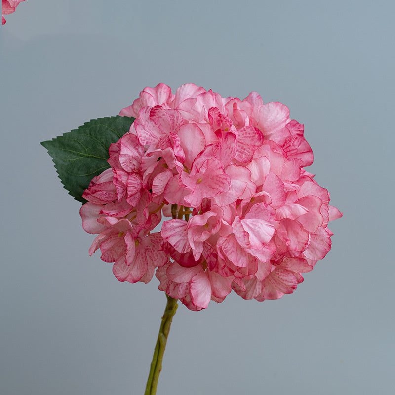 Kunstblumen Hortensien Vintage | 35 cm | Geflammter Rand | Realistisch | Herbst & Winter Deko für Vase & Hochzeit