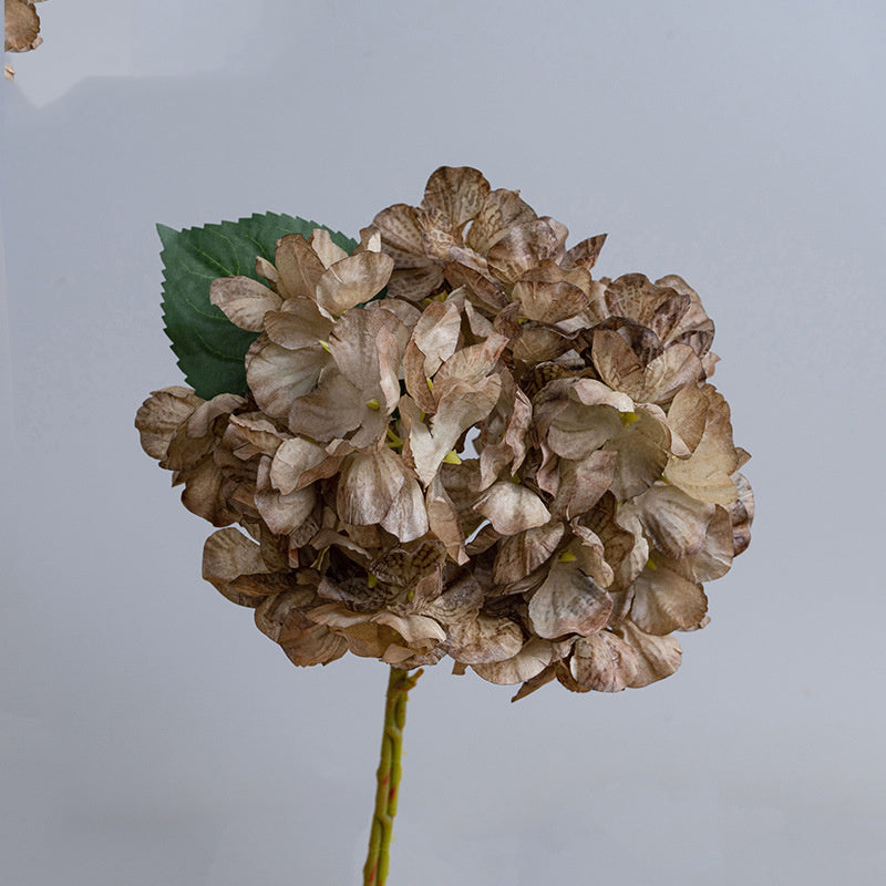 Kunstblumen Hortensien Vintage | 35 cm | Geflammter Rand | Realistisch | Herbst & Winter Deko für Vase & Hochzeit