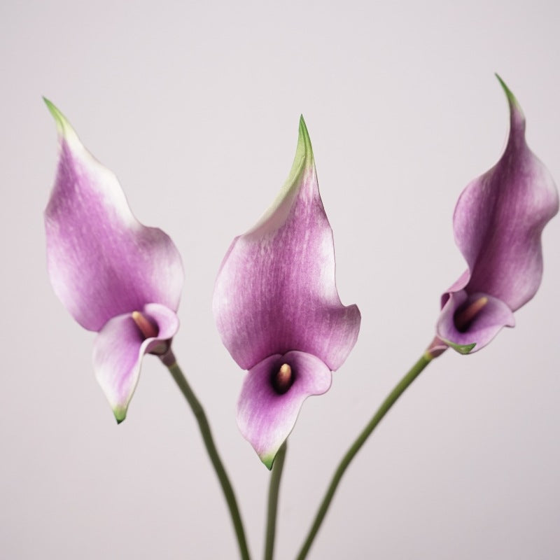 Premium Calla-Lilie Kunstblume, 58cm Stiel mit Doppelblüte, Real Touch Qualität für elegante Vasendeko, Hochzeit & Gestecke