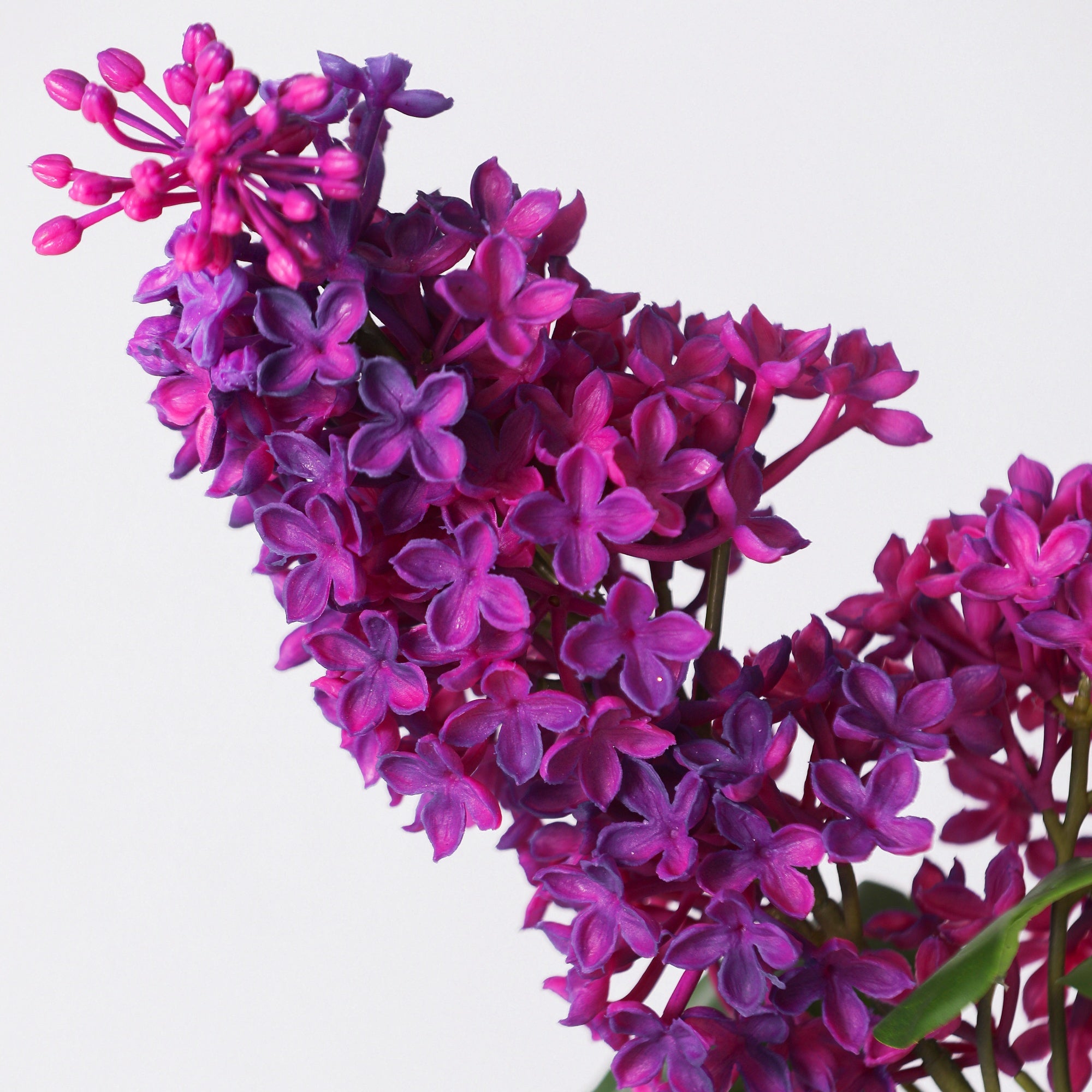 Künstlicher Flieder-Stiel 71 cm mit Real-Touch – üppige Blütenrispen für Vase, Gestecke & Frühlingsdekoration