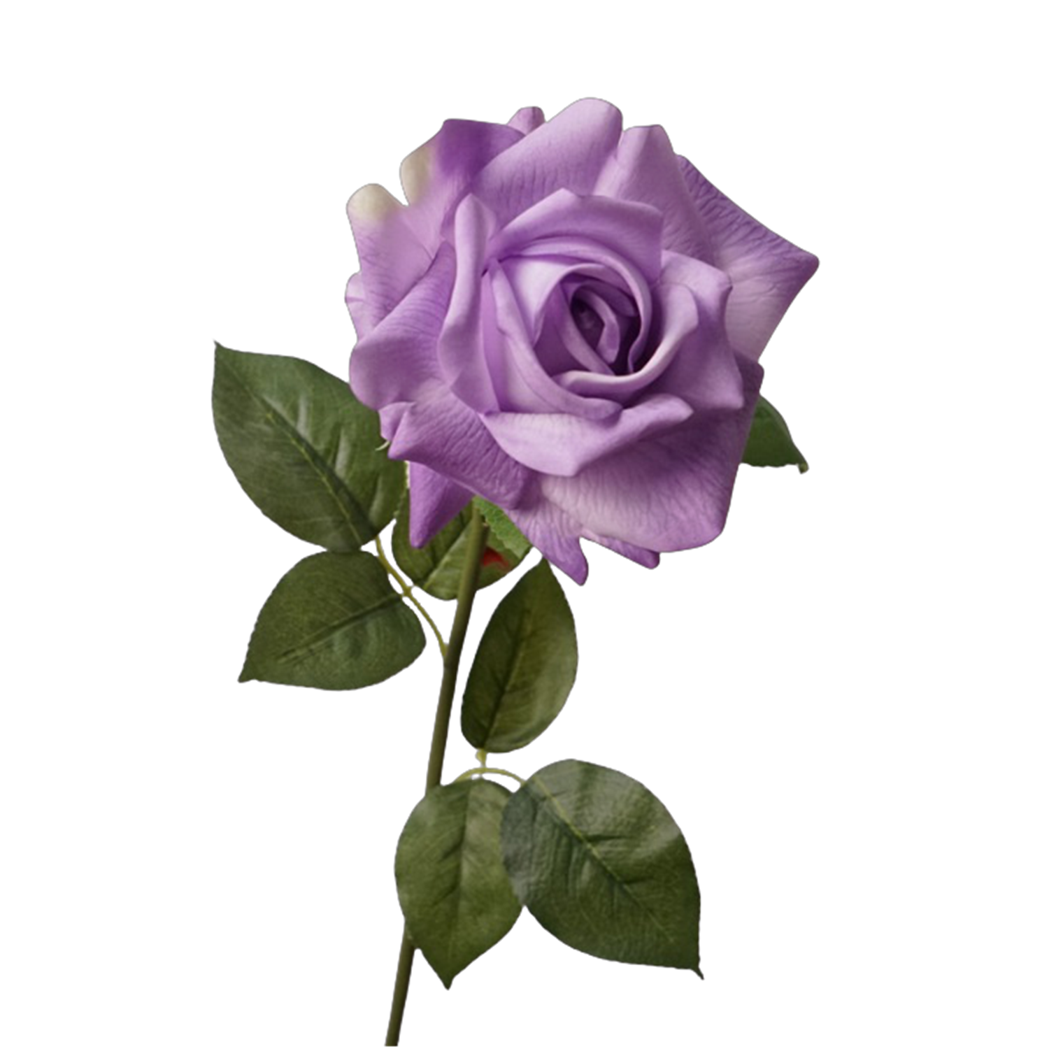 Real Touch Rose 73 cm – Gerüschte Kunstrose | Seidenstiel für Vase, Hochzeit & Floristik