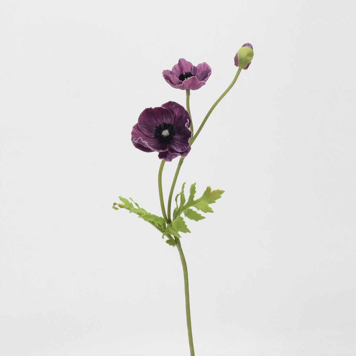 Mohnblume künstlich 38 cm, hochwertiger Real Touch Mohn-Stiel, täuschend echt für Vase, Hochzeitsdeko, Arrangements & Landhausstil