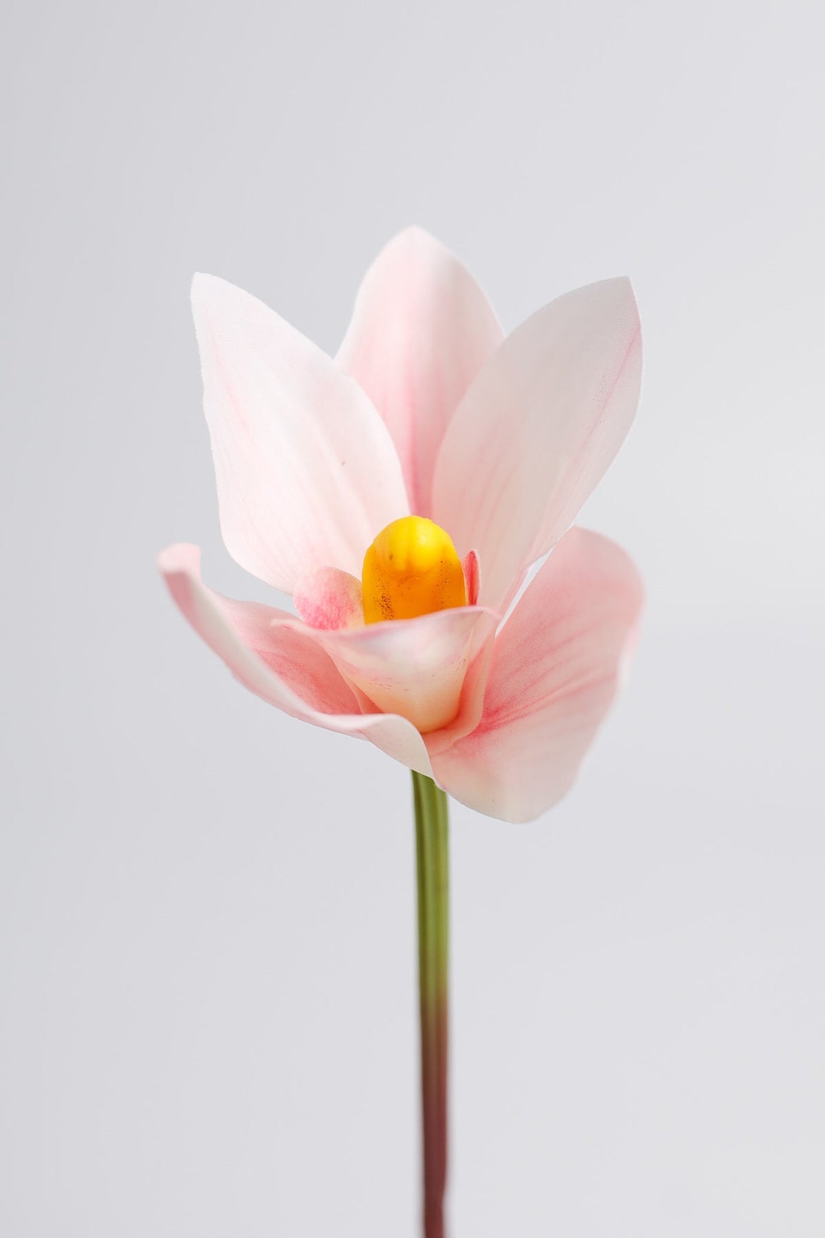 Künstliche Cymbidium-Orchidee mit Real-Touch, ca. 28 cm hoch – flexibler Stiel für Vase, DIY-Gestecke & Hochzeitsfloristik
