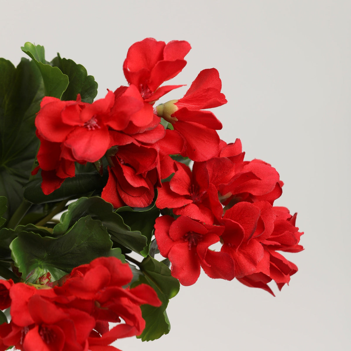 Geranienbusch künstlich UV-beständig – 43 cm, Premium Real-Touch – täuschend echte Kunstblumen für Balkon, Vase & Hochzeitsdeko