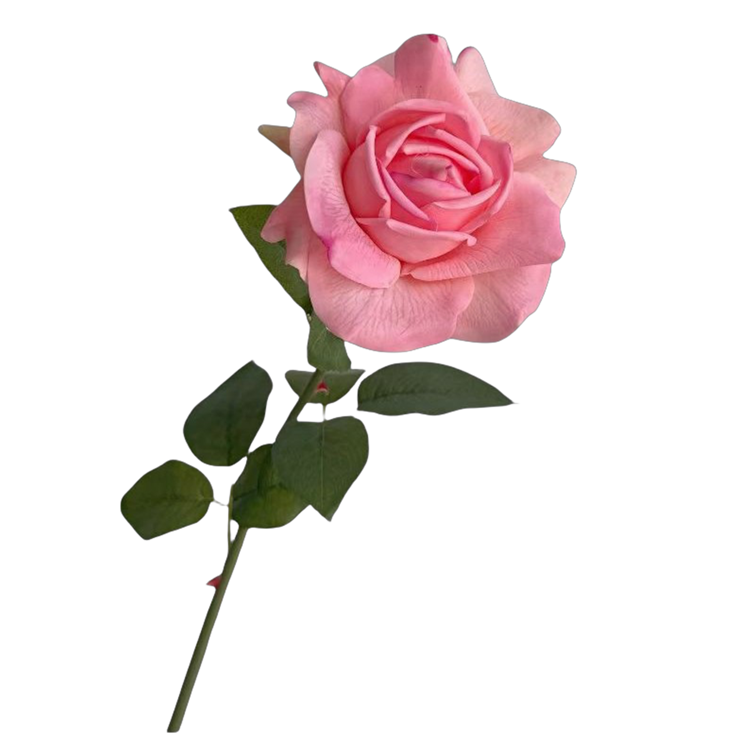 Real Touch Rose 73 cm – Gerüschte Kunstrose | Seidenstiel für Vase, Hochzeit & Floristik