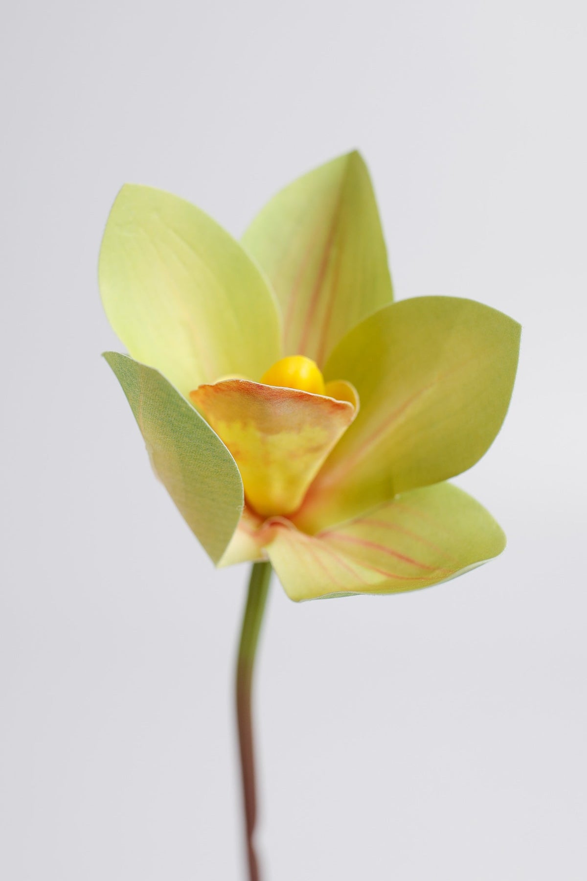 Künstliche Cymbidium-Orchidee mit Real-Touch, ca. 28 cm hoch – flexibler Stiel für Vase, DIY-Gestecke & Hochzeitsfloristik